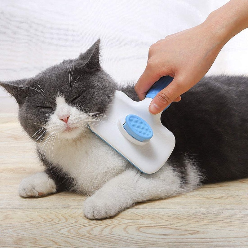 Escova Autolimpante para Remoç - Hair Care Is Self Care avaliação e preço